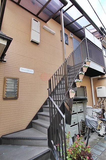 フラッツライオン