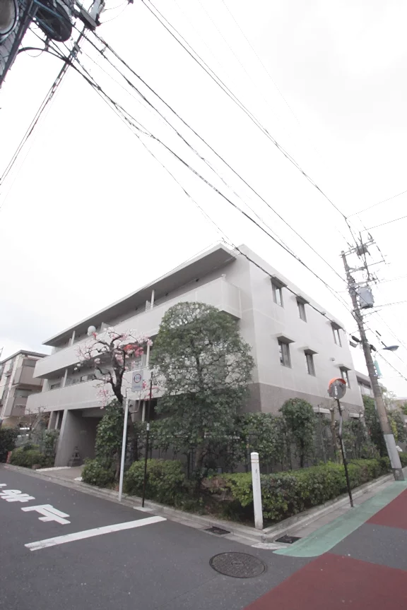 コンフォート【Comfort】